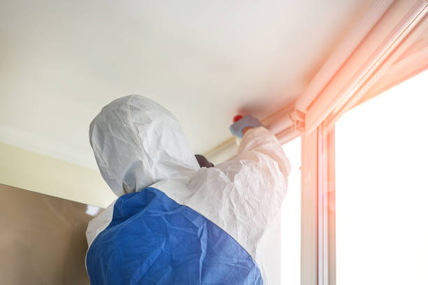 Why You Should Choose Our Mold Remediation Services in Piedmont, MO